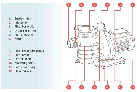 centrifugal pump swimming pool|pool pump diagram.